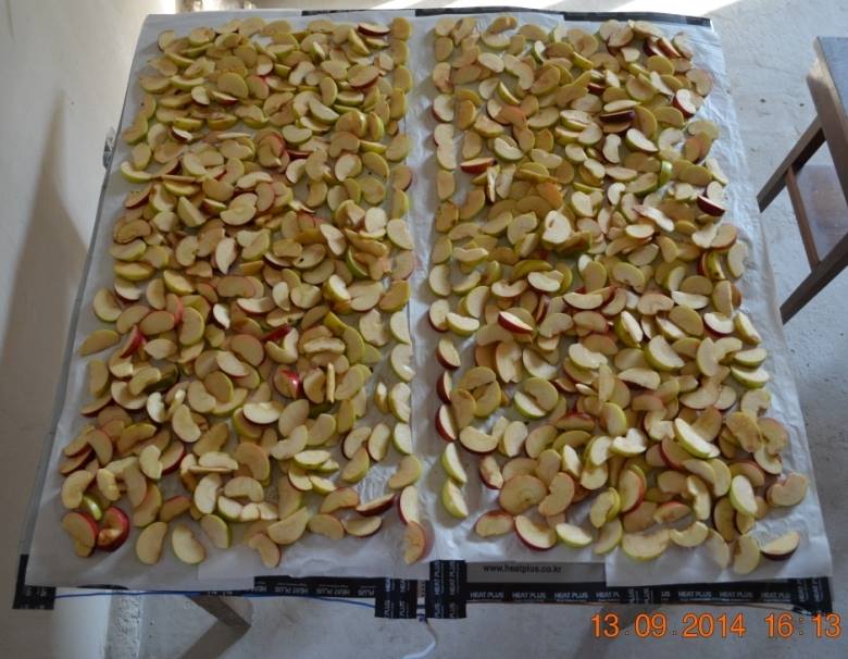 11896185_1602714843313750_7737159441805332353_n